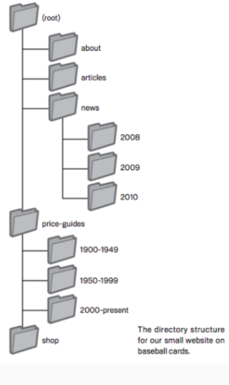 phân cấp thư mục trong seo